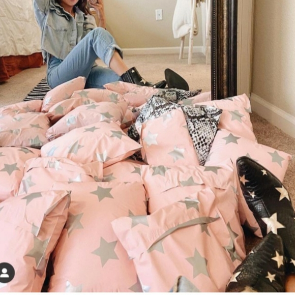 10x13 Silver Stars behind a pink backdrop 10 Mailers Price is Firm - Picture 4 of 8